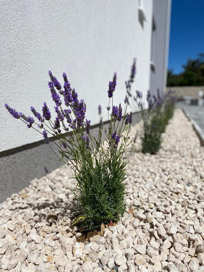 ויר 1Oak Rentals מראה חיצוני תמונה